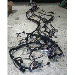 8 Электропроводка кузова главная Tesla Model X 2072429-00-B